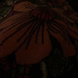 Meet your Posher, Paige